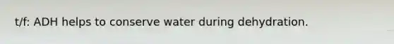 t/f: ADH helps to conserve water during dehydration.