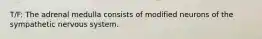 T/F: The adrenal medulla consists of modified neurons of the sympathetic nervous system.
