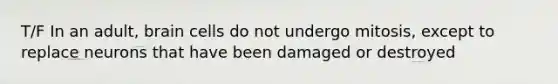 T/F In an adult, brain cells do not undergo mitosis, except to replace neurons that have been damaged or destroyed