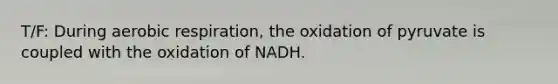 T/F: During aerobic respiration, the oxidation of pyruvate is coupled with the oxidation of NADH.