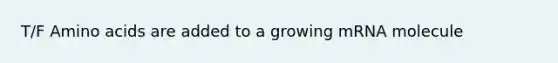 T/F Amino acids are added to a growing mRNA molecule