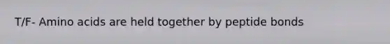 T/F- <a href='https://www.questionai.com/knowledge/k9gb720LCl-amino-acids' class='anchor-knowledge'>amino acids</a> are held together by peptide bonds