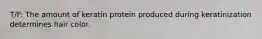 T/F: The amount of keratin protein produced during keratinization determines hair color.