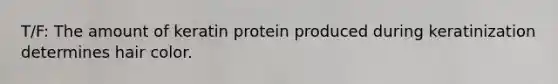 T/F: The amount of keratin protein produced during keratinization determines hair color.