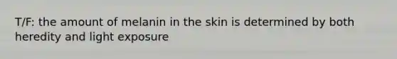 T/F: the amount of melanin in the skin is determined by both heredity and light exposure