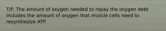 T/F: The amount of oxygen needed to repay the oxygen debt includes the amount of oxygen that muscle cells need to resynthesize ATP.