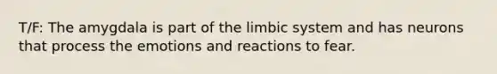 T/F: The amygdala is part of the limbic system and has neurons that process the emotions and reactions to fear.