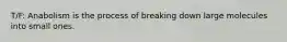 T/F: Anabolism is the process of breaking down large molecules into small ones.