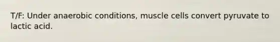 T/F: Under anaerobic conditions, muscle cells convert pyruvate to lactic acid.