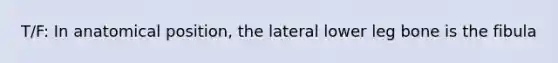 T/F: In anatomical position, the lateral lower leg bone is the fibula