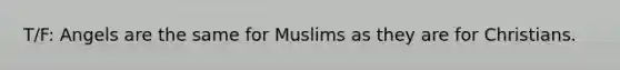 T/F: Angels are the same for Muslims as they are for Christians.