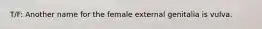 T/F: Another name for the female external genitalia is vulva.