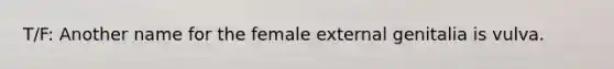 T/F: Another name for the female external genitalia is vulva.