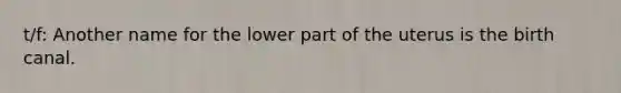 t/f: Another name for the lower part of the uterus is the birth canal.