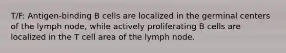 T/F: Antigen-binding B cells are localized in the germinal centers of the lymph node, while actively proliferating B cells are localized in the T cell area of the lymph node.