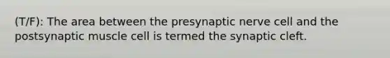 (T/F): The area between the presynaptic nerve cell and the postsynaptic muscle cell is termed the synaptic cleft.