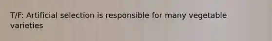 T/F: Artificial selection is responsible for many vegetable varieties