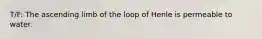 T/F: The ascending limb of the loop of Henle is permeable to water.