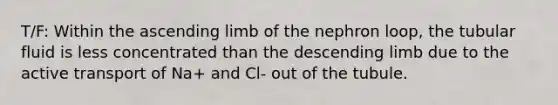 T/F: Within the ascending limb of the nephron loop, the tubular fluid is less concentrated than the descending limb due to the active transport of Na+ and Cl- out of the tubule.