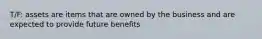 T/F: assets are items that are owned by the business and are expected to provide future benefits