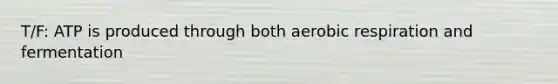 T/F: ATP is produced through both aerobic respiration and fermentation