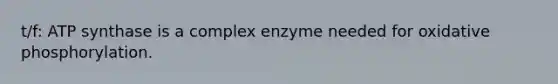 t/f: ATP synthase is a complex enzyme needed for oxidative phosphorylation.