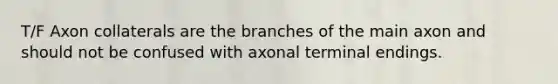 T/F Axon collaterals are the branches of the main axon and should not be confused with axonal terminal endings.