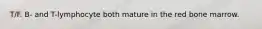 T/F. B- and T-lymphocyte both mature in the red bone marrow.