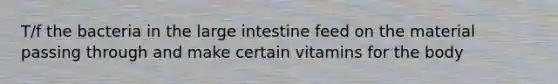 T/f the bacteria in the large intestine feed on the material passing through and make certain vitamins for the body