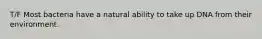 T/F Most bacteria have a natural ability to take up DNA from their environment.