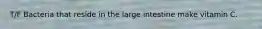 T/F Bacteria that reside in the large intestine make vitamin C.