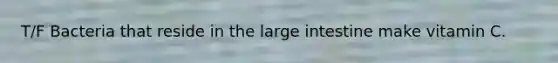 T/F Bacteria that reside in the large intestine make vitamin C.