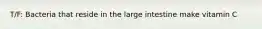 T/F: Bacteria that reside in the large intestine make vitamin C