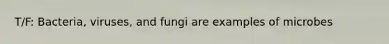 T/F: Bacteria, viruses, and fungi are examples of microbes