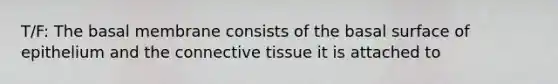 T/F: The basal membrane consists of the basal surface of epithelium and the connective tissue it is attached to