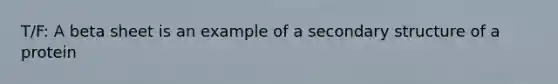 T/F: A beta sheet is an example of a secondary structure of a protein