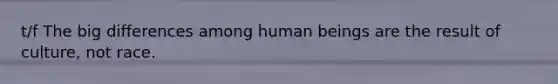 t/f The big differences among human beings are the result of culture, not race.