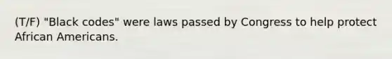 (T/F) "Black codes" were laws passed by Congress to help protect African Americans.