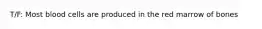 T/F: Most blood cells are produced in the red marrow of bones