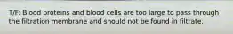 T/F: Blood proteins and blood cells are too large to pass through the filtration membrane and should not be found in filtrate.