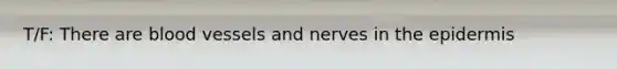 T/F: There are blood vessels and nerves in the epidermis