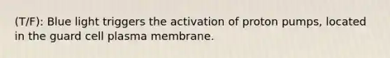 (T/F): Blue light triggers the activation of proton pumps, located in the guard cell plasma membrane.