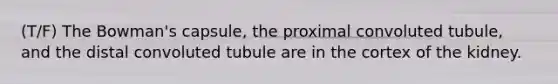 (T/F) The Bowman's capsule, the proximal convoluted tubule, and the distal convoluted tubule are in the cortex of the kidney.