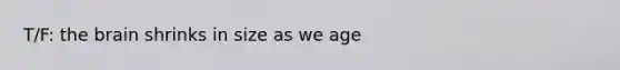 T/F: the brain shrinks in size as we age
