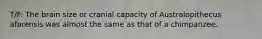 T/F: The brain size or cranial capacity of Australopithecus afarensis was almost the same as that of a chimpanzee.