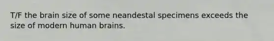 T/F the brain size of some neandestal specimens exceeds the size of modern human brains.