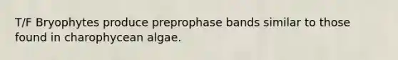 T/F Bryophytes produce preprophase bands similar to those found in charophycean algae.