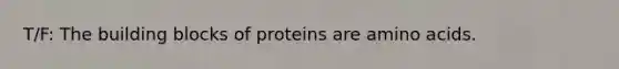 T/F: The building blocks of proteins are amino acids.