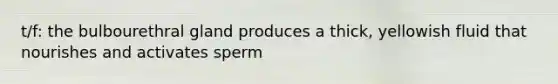 t/f: the bulbourethral gland produces a thick, yellowish fluid that nourishes and activates sperm