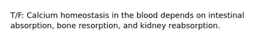 T/F: Calcium homeostasis in the blood depends on intestinal absorption, bone resorption, and kidney reabsorption.